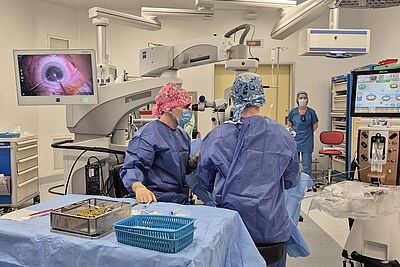 Agrandir l'image, fenêtre modale