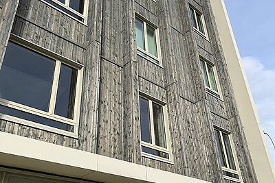 Agrandir l'image, fenêtre modale