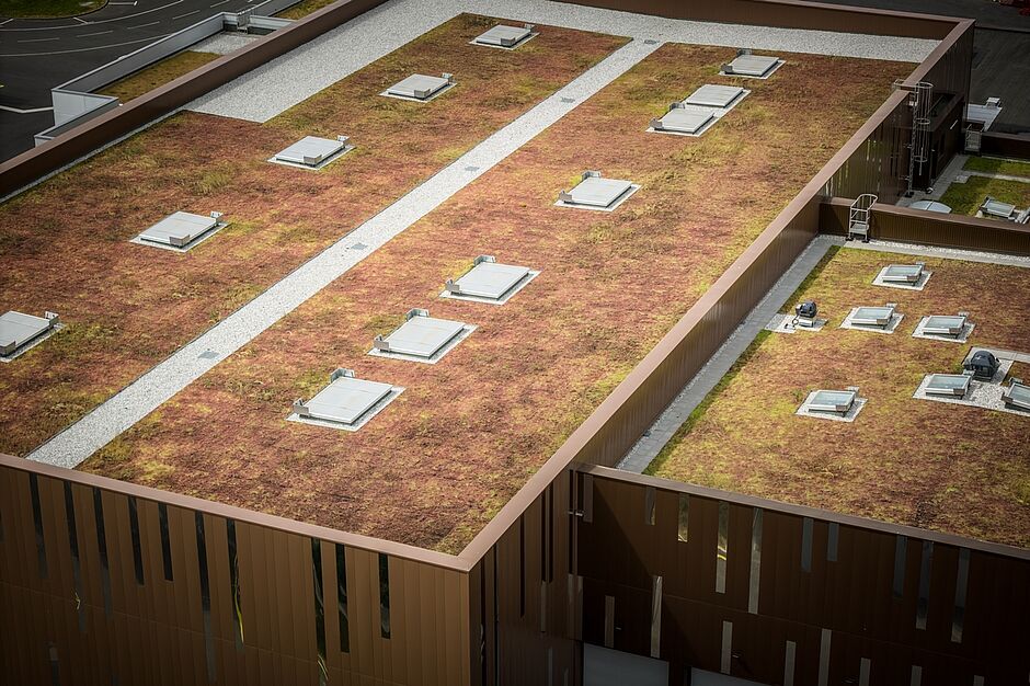 Agrandir l'image (fenêtre modale)